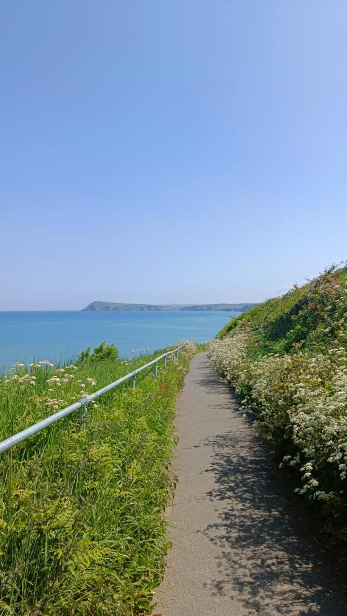 Rose And Crown Hotel & Hope And Anchor Bar Goodwick Экстерьер фото