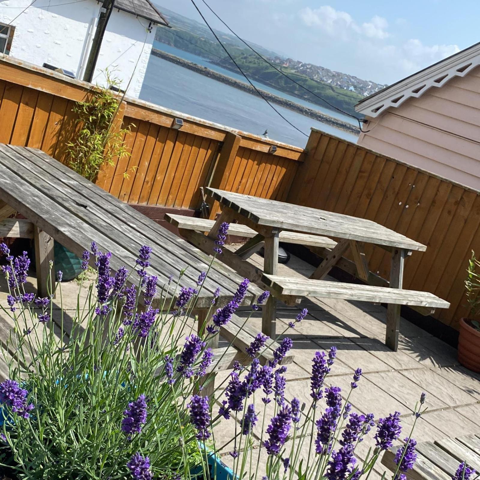 Rose And Crown Hotel & Hope And Anchor Bar Goodwick Экстерьер фото